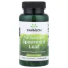 Swanson Spearmint Leaf 400mg 60 kapszula fodormentalevél