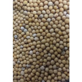   Paleolit Mustármag egész sárga 25kg lédig White mustard - Sinapis Alba