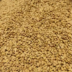 Paleolit Görögszénamag egész 25kg lédig Fenugreek seeds