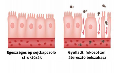 NapfényVitamin ColonBalance Plus problémaspecifikus probiotikum (60)