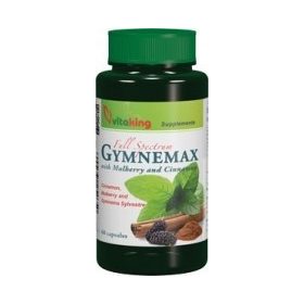 Vitaking GymneMAX fahéj (60) kapszula