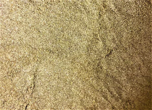 Paleolit Koriander őrölt 1kg