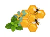 Natur Tanya® PROPOLSEPT mentás-eukaliptuszos szopogató tabletta 20db