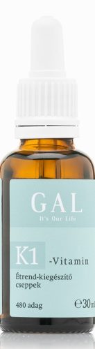 GAL K1-Vitamin 1000mcg K-vitamin x 480 adag