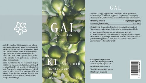 GAL K1-Vitamin 1000mcg K-vitamin x 480 adag