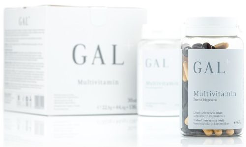 GAL+ Multivitamin 22,9g+44,4g+138,6g