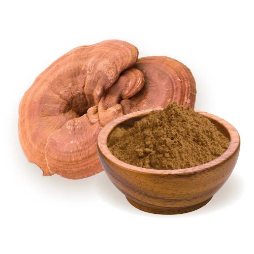 BioMenü BIO Ganoderma gombapor 100g