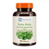 Caleido Gotu Kola kivonat kapszula 60db