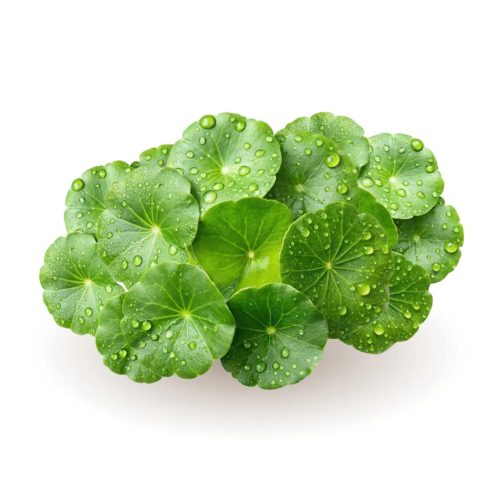 Caleido Gotu Kola kivonat kapszula 60db