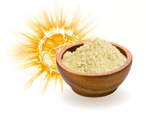 BioMenü BIO MCT-olajpor 200g