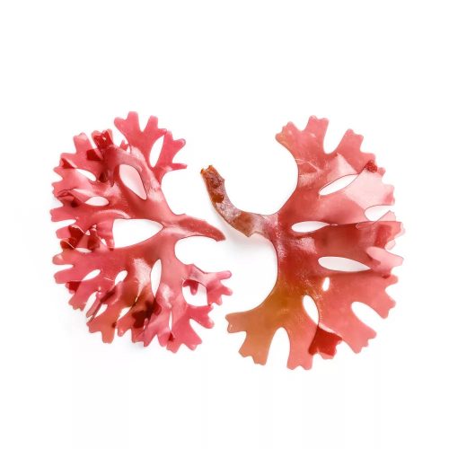 Caleido Asztaxantin 60db gélkapszula