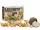 Mixit Kemencés diófélék - Pörkölt kesudió, szarvasgomba, színes bors 160g