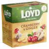 Loyd vörös áfonya és gyömbér ízű gyümölcstea 20 filter 40 g