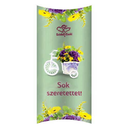 Szívből Csoki Táblás Szeretettel Bicikli 90g /10/