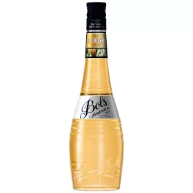 Bols Elderflower EU 0,7l 17% /6/