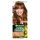 Garnier Color Nat 6.34 Csokoládé Barna