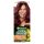 Garnier Color Nat 4.62 Mély Cseresznye