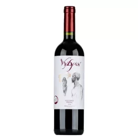 Vylyan Villányi Franc 2018 0,75L-DRS